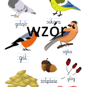 Co jedzą ptaki zimą?