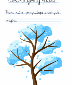 Obserwujemy ptaki zimą