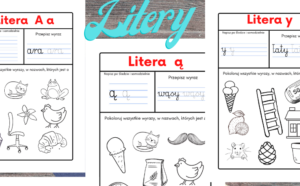 Litery- karty pracy- e-book