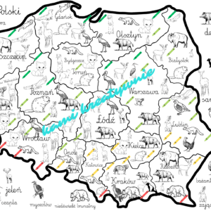 Fauna Polski-plakaty, zabawa edukacyjna- e-book