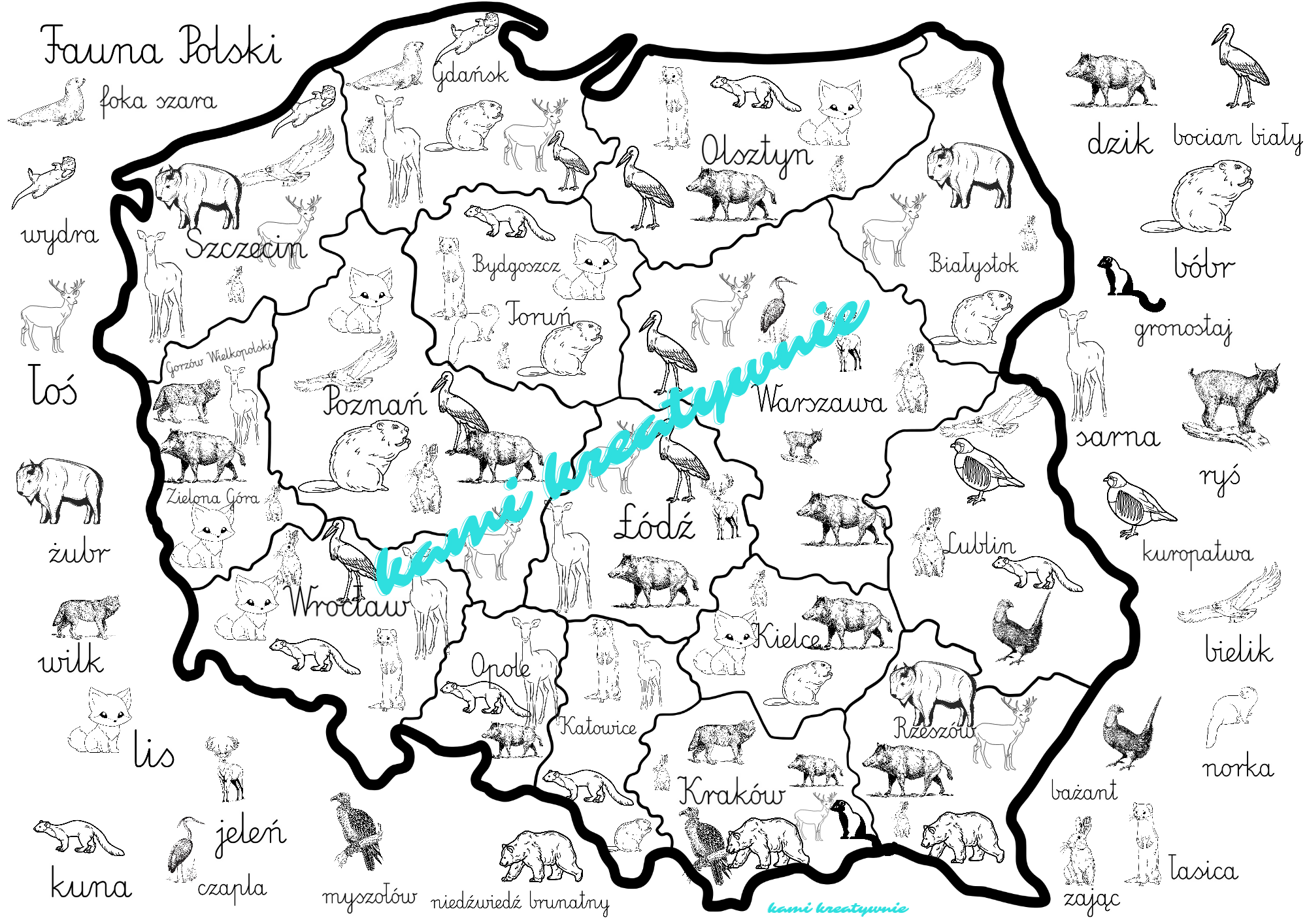 Fauna Polski-plakaty, zabawa edukacyjna- e-book - obrazek 2