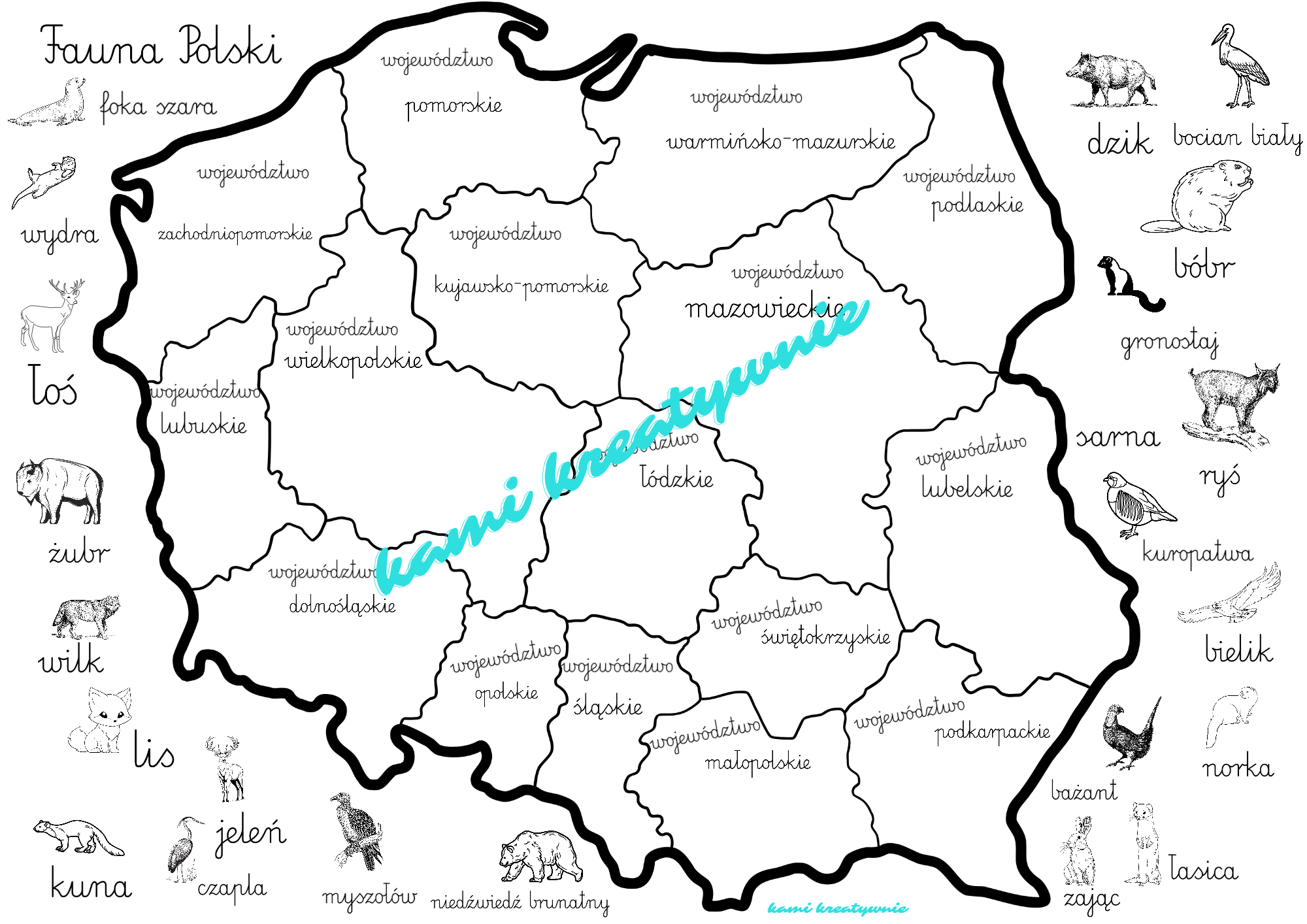 Fauna Polski-plakaty, zabawa edukacyjna- e-book - obrazek 3