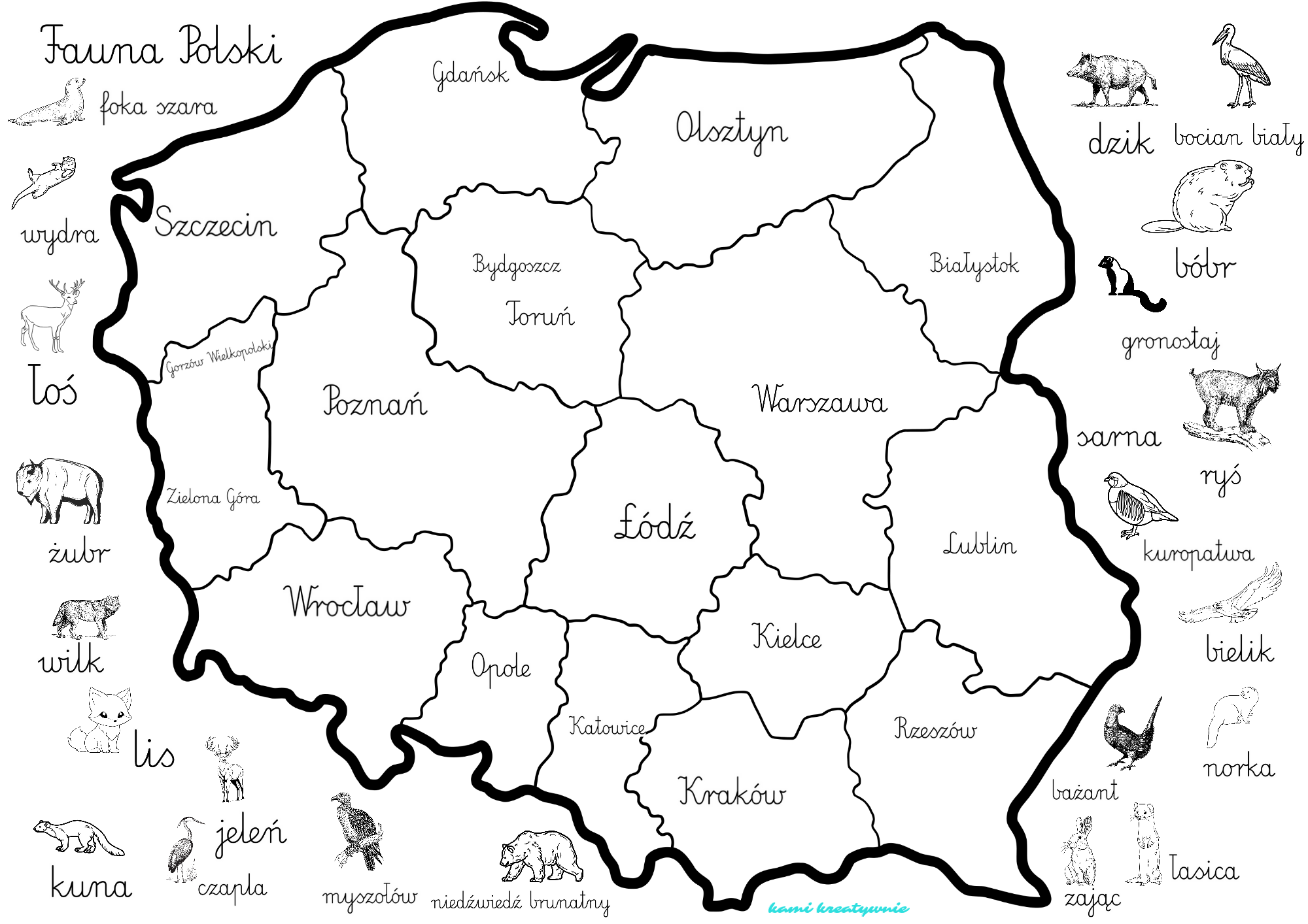 Fauna Polski-plakaty, zabawa edukacyjna- e-book - obrazek 4