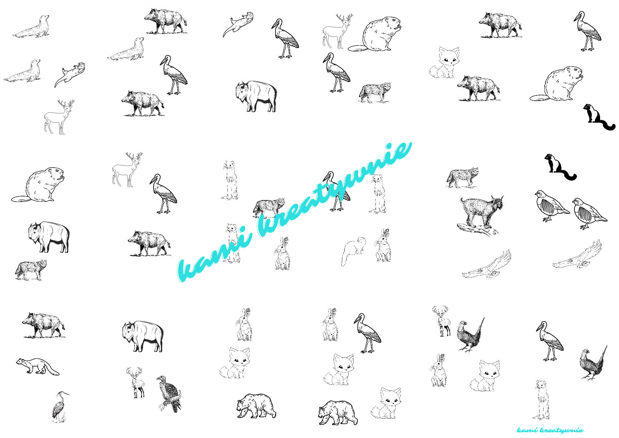 Fauna Polski-plakaty, zabawa edukacyjna- e-book - obrazek 5