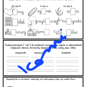 Ortograficzne wprawki- e-book