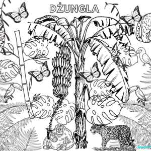 Dżungla - plakaty do pokolorowania