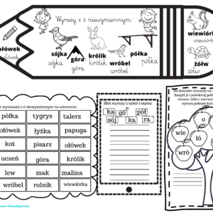 Wprowadzamy ortografię- słowniczkowe wklejki- e-book