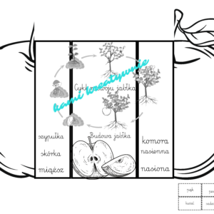 Dzień jabłka- wklejki