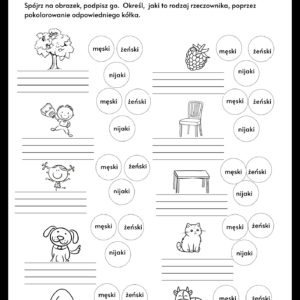 Rodzaje rzeczownika- e-book