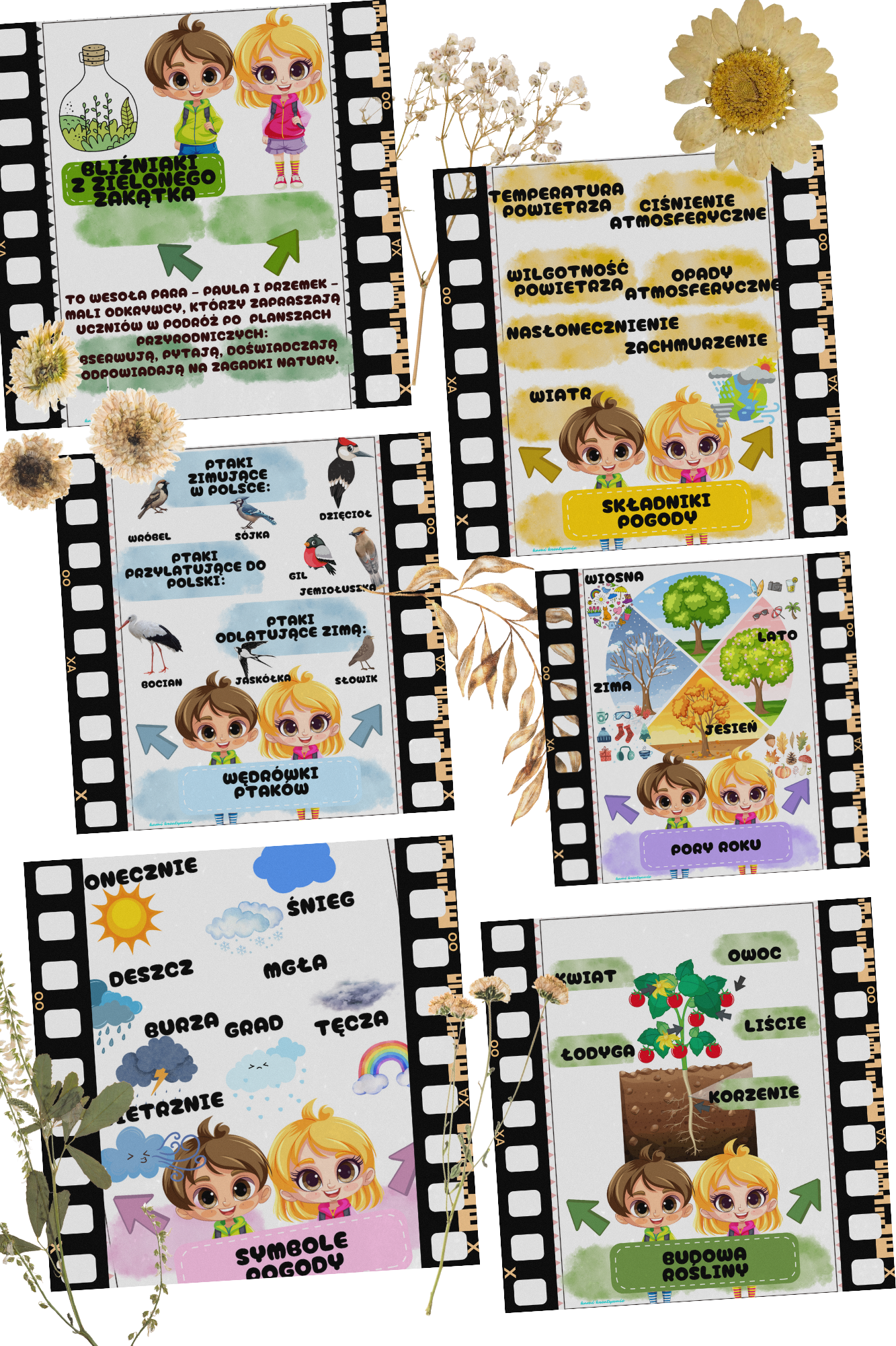 Plansze przyrodnicze a4 i wklejki a5 - obrazek 2