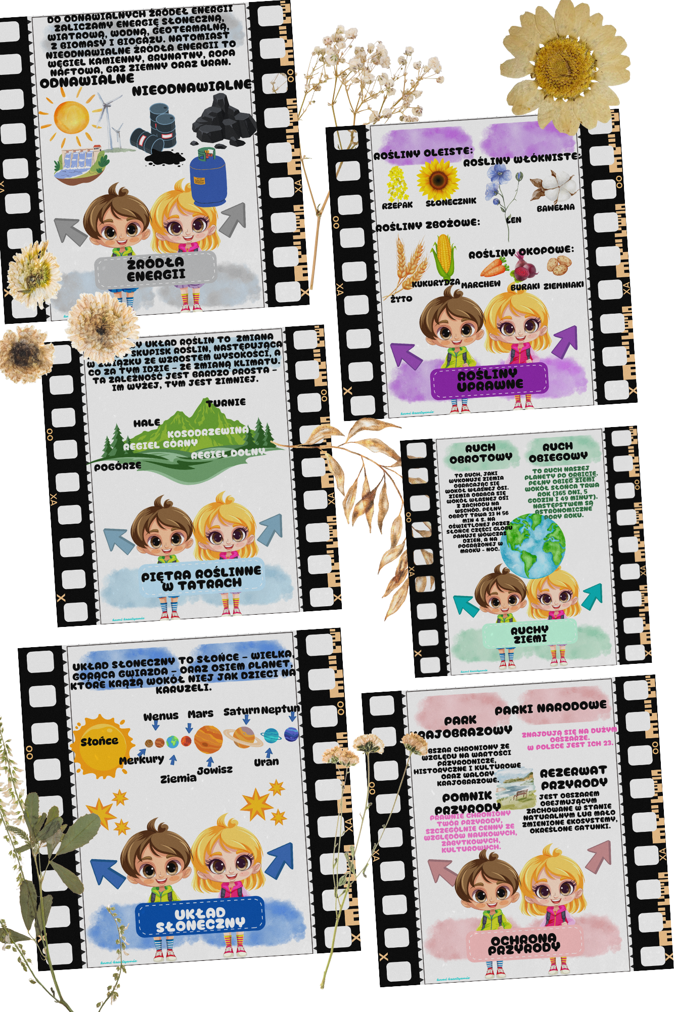 Plansze przyrodnicze a4 i wklejki a5 - obrazek 5