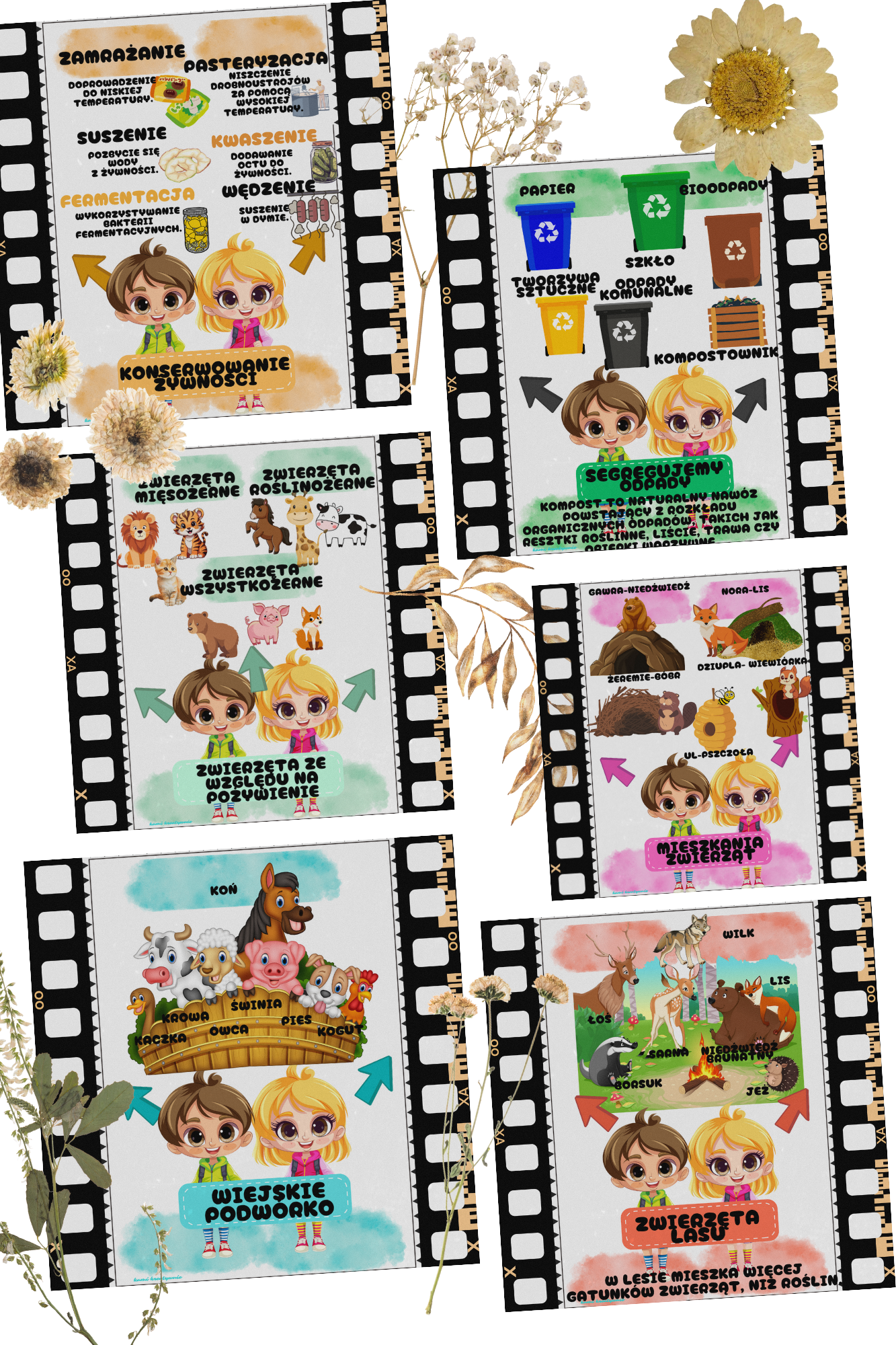 Plansze przyrodnicze a4 i wklejki a5 - obrazek 6