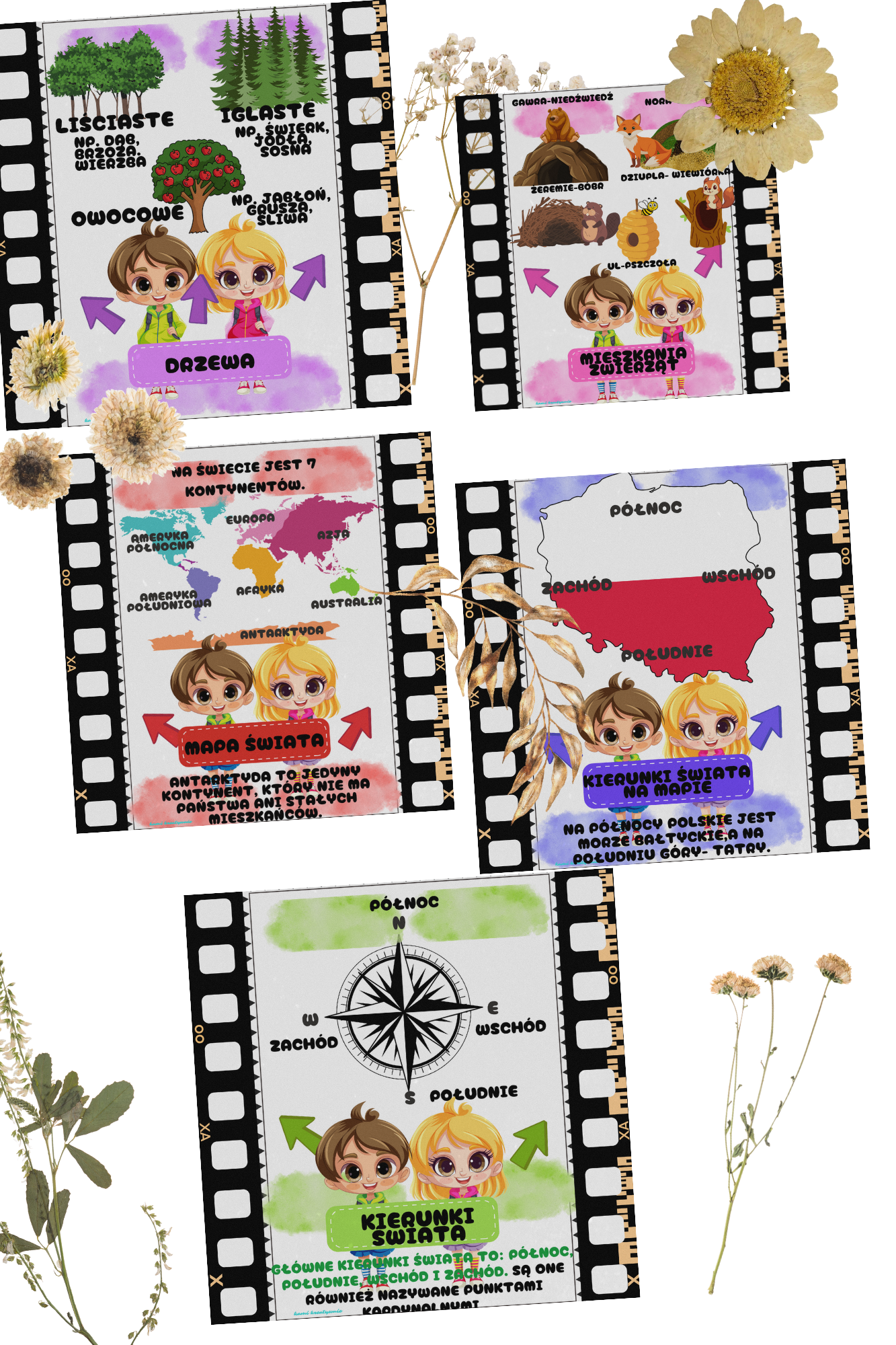 Plansze przyrodnicze a4 i wklejki a5 - obrazek 7